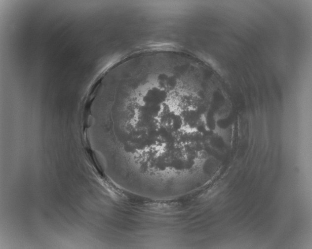 X0000070411405200606121318