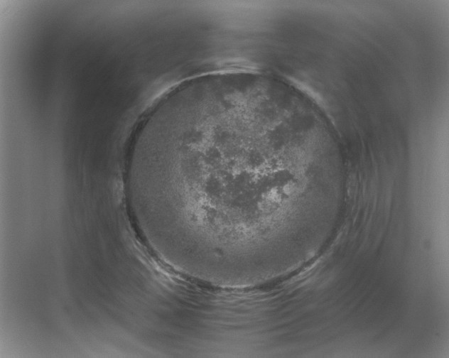 X0000070411407200606121318