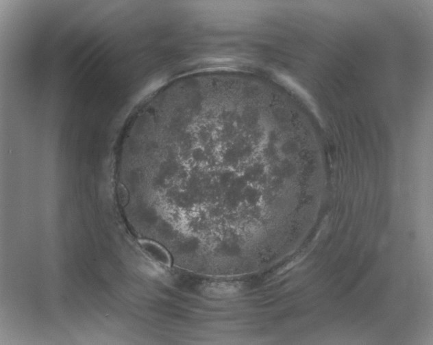 X0000070411411200606121318