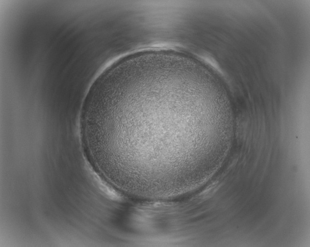 X0000070411412200606121318