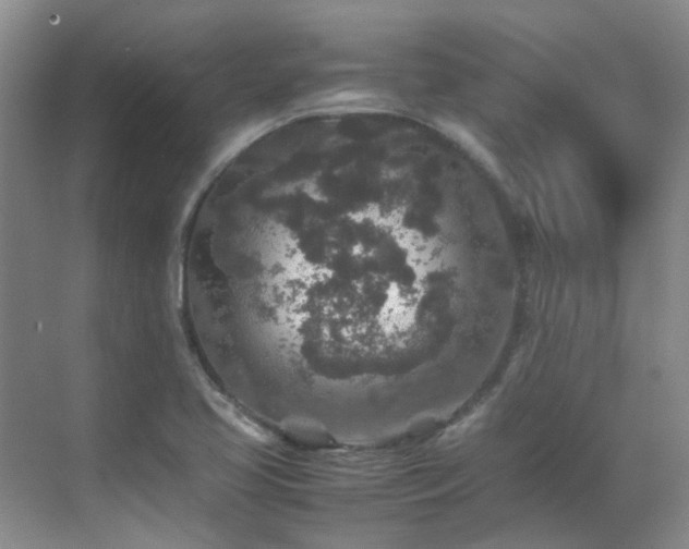 X0000070411413200606121318