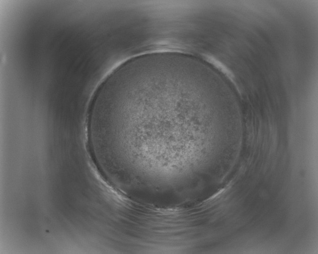 X0000070411415200606121318