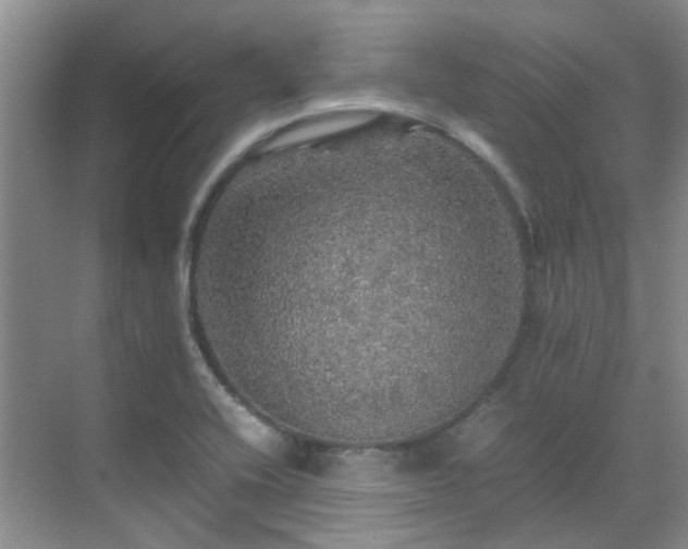 X0000070411416200606121318