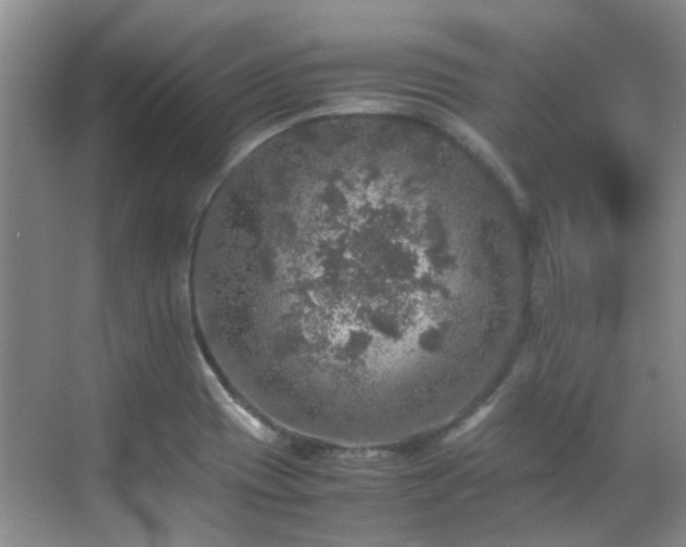 X0000070411417200606121318