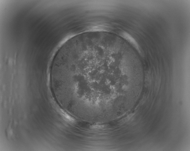 X0000070411419200606121318