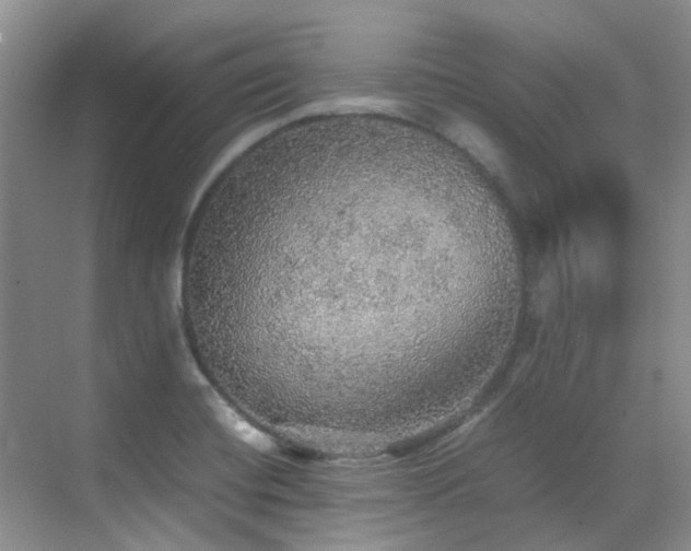 X0000070411420200606121318