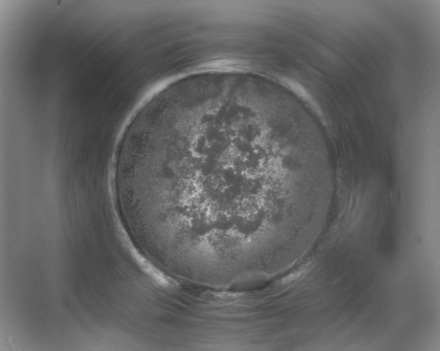 X0000070411421200606121318