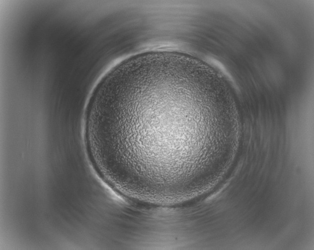 X0000070411424200606121318