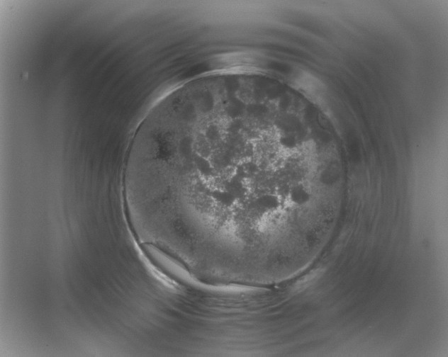 X0000070411425200606121318