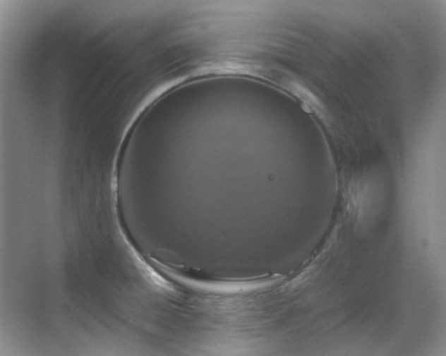 X0000070411428200606121318