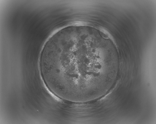 X0000070411429200606121318