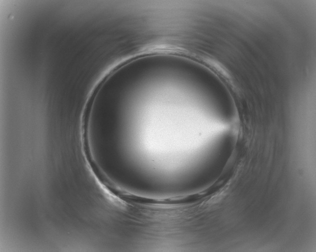 X0000070411430200606121318