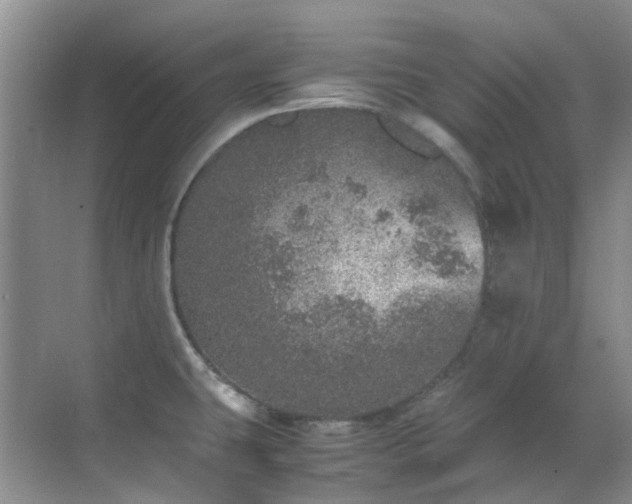 X0000070411431200606121318