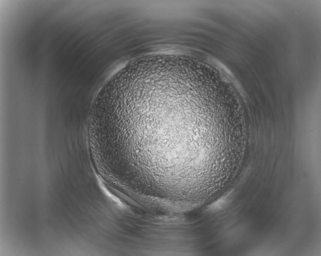 X0000070411433200606121318