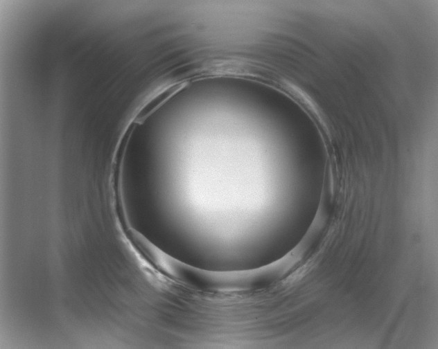 X0000070411434200606121318