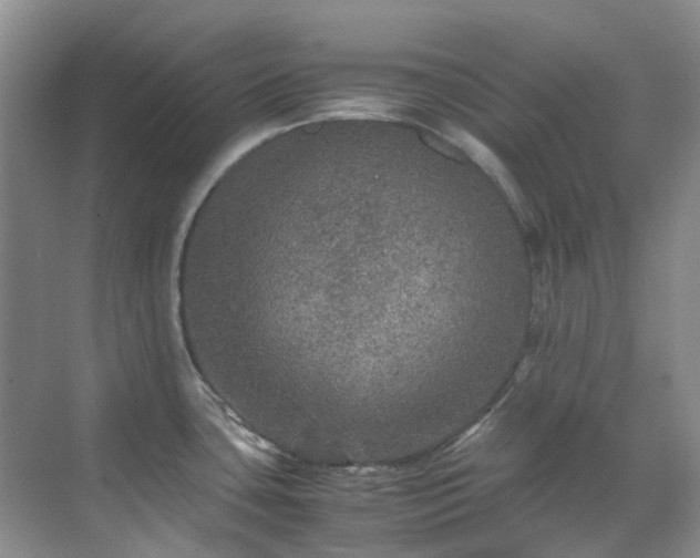 X0000070411435200606121318