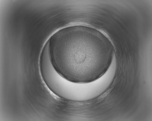 X0000070411438200606121318