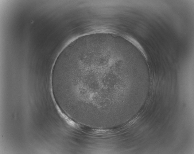 X0000070411439200606121318