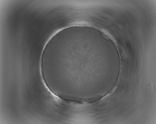 X0000070411440200606121318