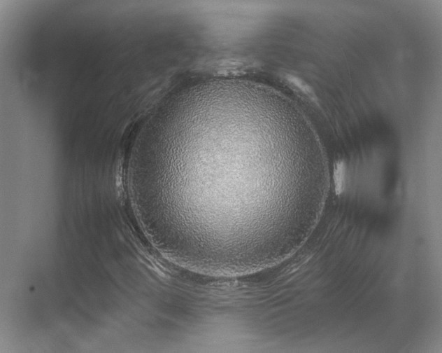 X0000070411444200606121317