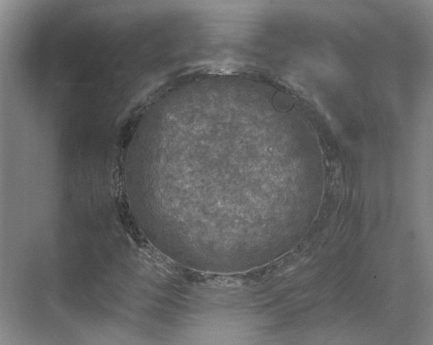 X0000070411446200606121317