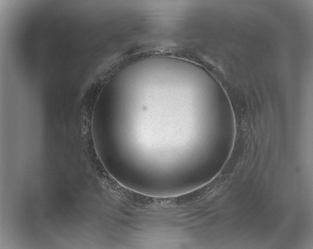 X0000070411447200606121317