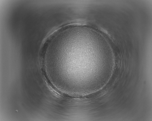 X0000070411448200606121317