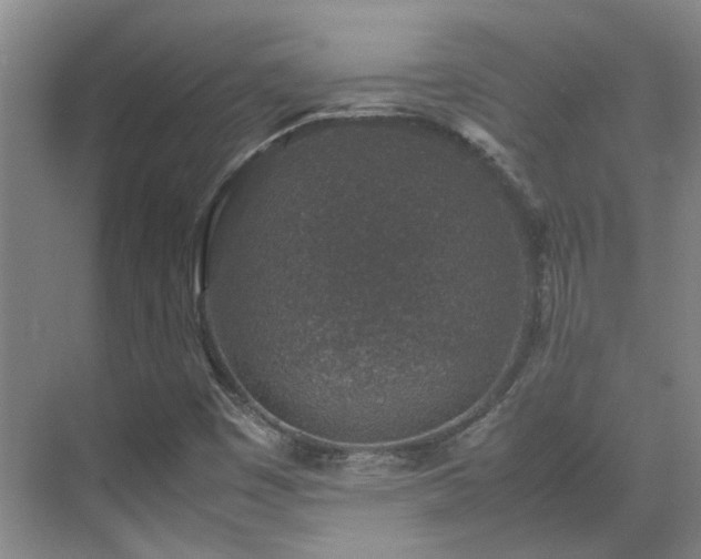 X0000070411449200606121317