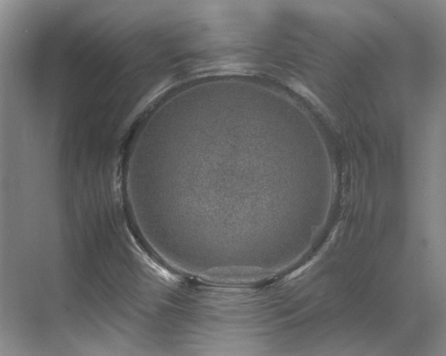 X0000070411450200606121317