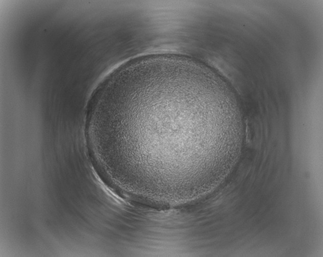 X0000070411452200606121317