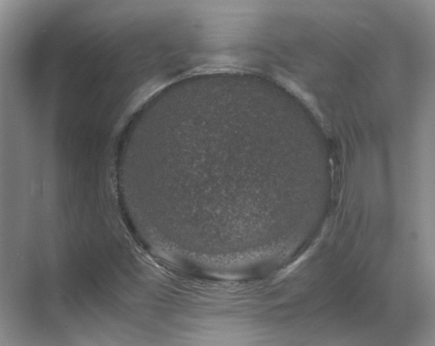 X0000070411453200606121317