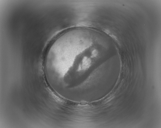 X0000070411454200606121317