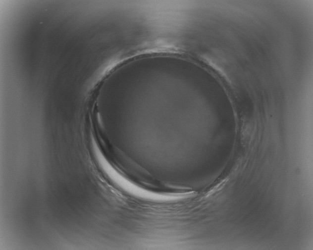 X0000070411455200606121317