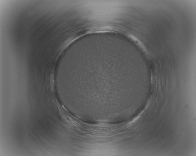 X0000070411457200606121317