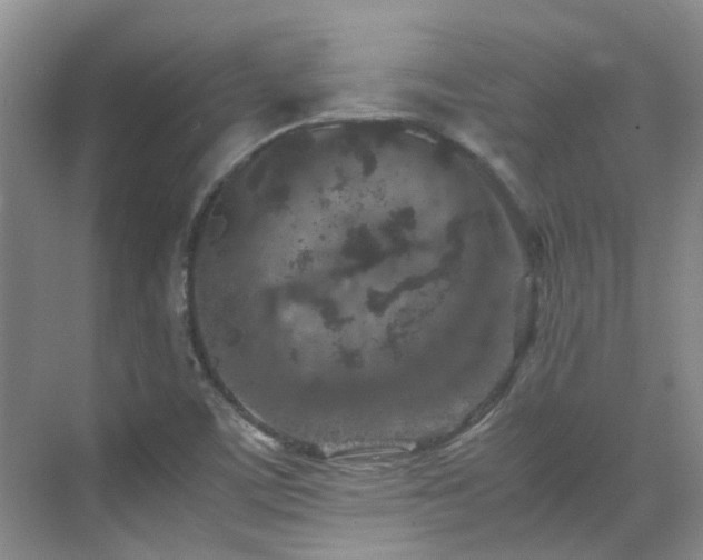 X0000070411459200606121317