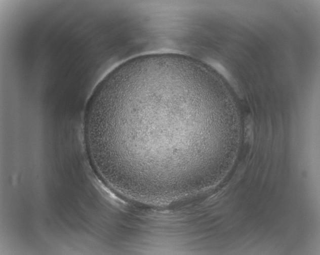 X0000070411460200606121317