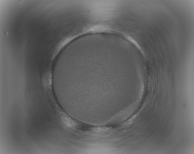 X0000070411461200606121317