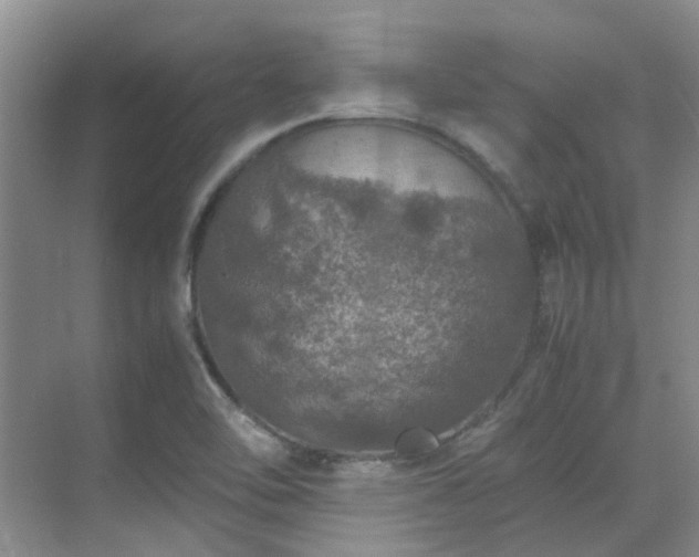 X0000070411462200606121317