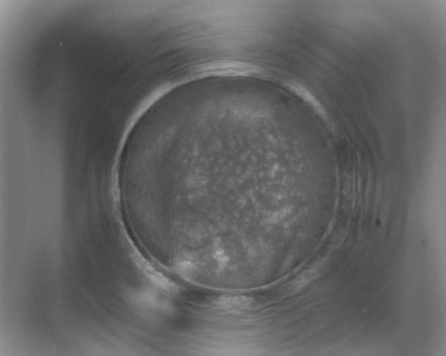 X0000070411466200606121317