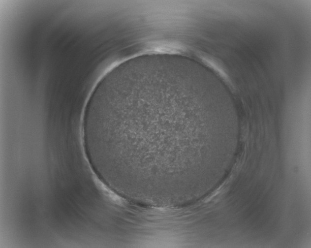 X0000070411471200606121317