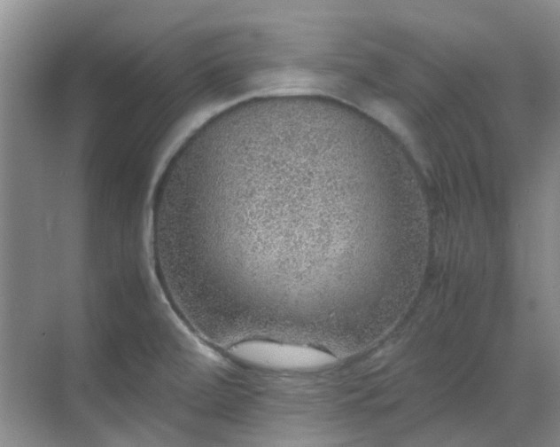 X0000070411472200606121317