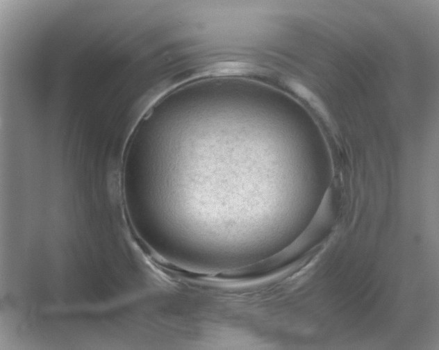 X0000070411473200606121317