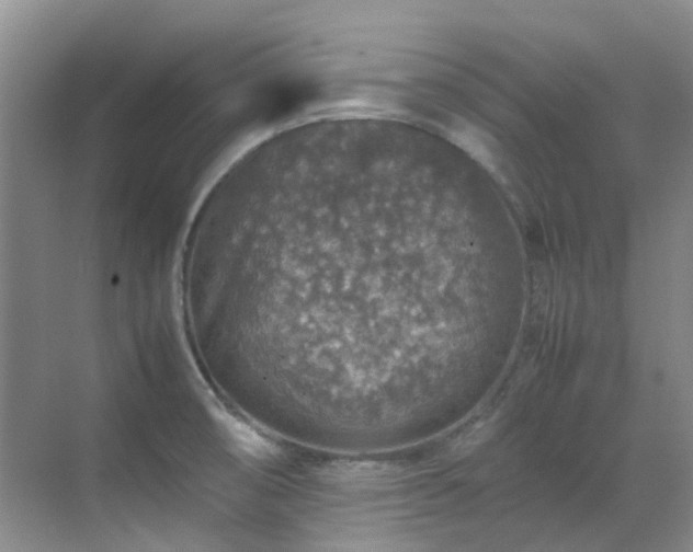 X0000070411474200606121317