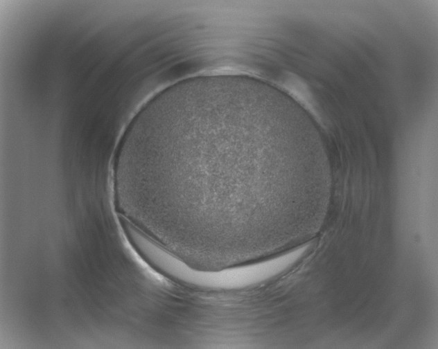 X0000070411476200606121317