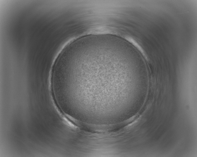 X0000070411477200606121317