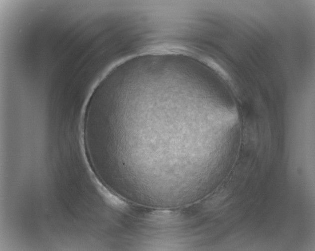 X0000070411478200606121317