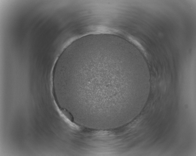 X0000070411479200606121317