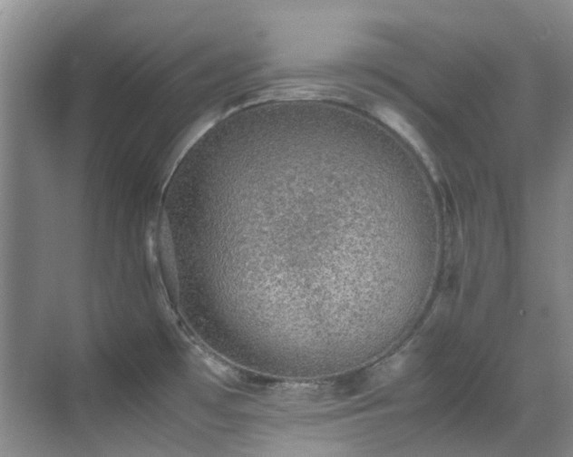 X0000070411481200606121317