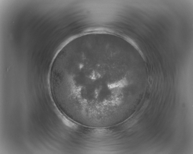 X0000070411482200606121317