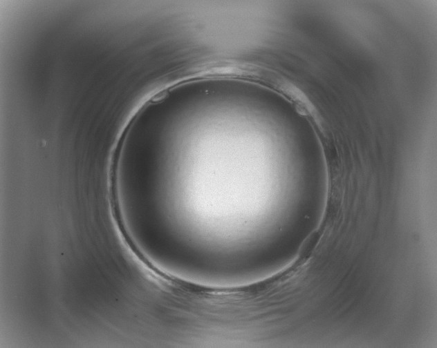 X0000070411483200606121317